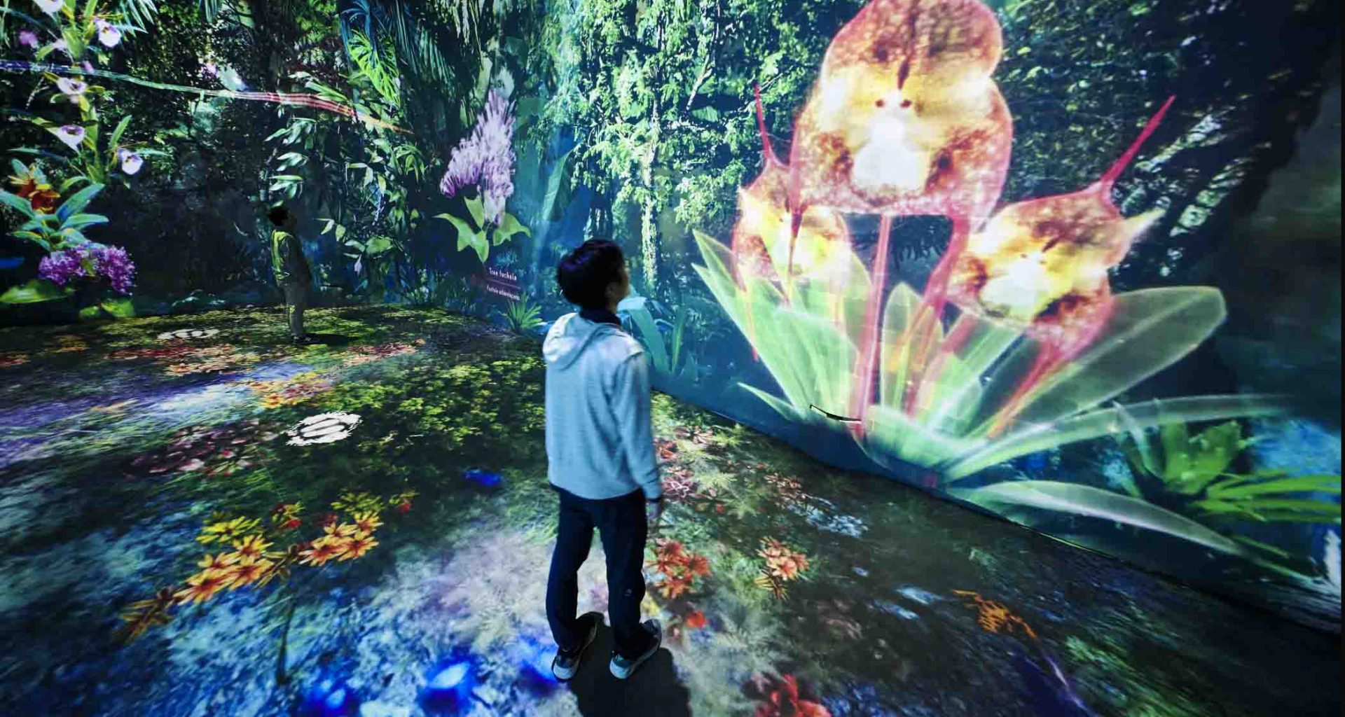 Gardens by the Bay Unveils 'The Hidden Forest' Featuring Rare Flora and Fauna - Alvinology
