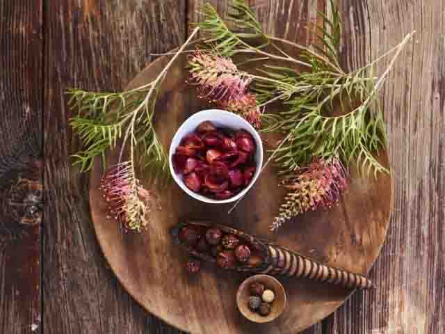 Celebrate NAIDOC Week: Three Unforgettable Ways to Experience Aboriginal Culture and Food in Australia Celebrate NAIDOC Week: Three Unforgettable Ways to Experience Aboriginal Culture and Food in Australia - Alvinology
