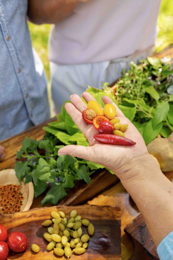 Celebrate NAIDOC Week: Three Unforgettable Ways to Experience Aboriginal Culture and Food in Australia Celebrate NAIDOC Week: Three Unforgettable Ways to Experience Aboriginal Culture and Food in Australia - Alvinology