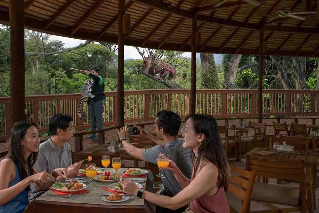 Night Safari Unveils New Trail While Singapore Zoo Gears Up for Marine Coastal Exhibit with F&B Hub Night Safari Unveils New Trail While Singapore Zoo Gears Up for Marine Coastal Exhibit with F&B Hub - Alvinology