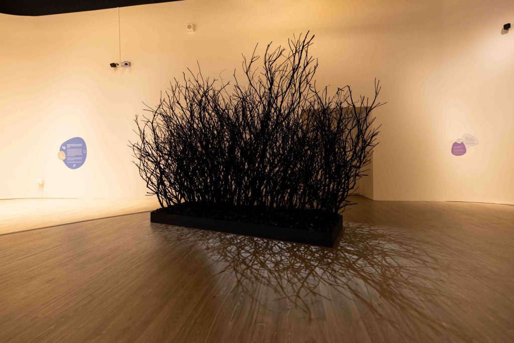 Singapore Art Museum’s New Learning Gallery Welcomes Authentic Encounters with Contemporary Art - Alvinology