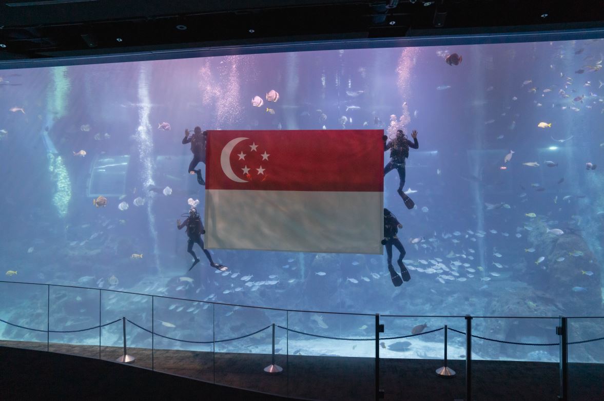 Celebrate National Day with S.E.A. Aquarium's Stunning Underwater Flag Presentation - Alvinology
