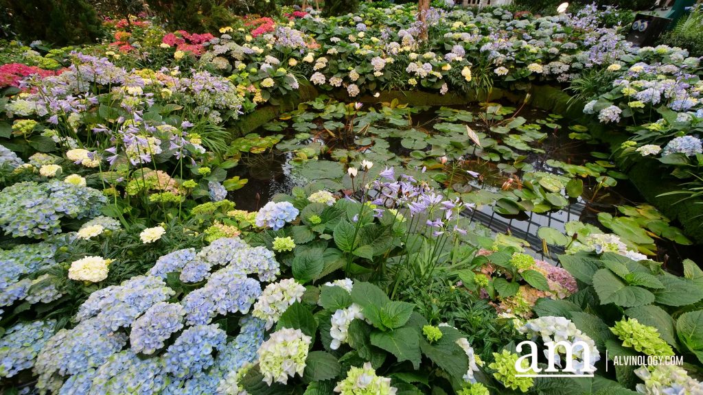 Impressions of Monet Opens at Gardens by the Bay - Immerse into the World of Monet, both in a Physical Garden and a Digital Experience - Alvinology