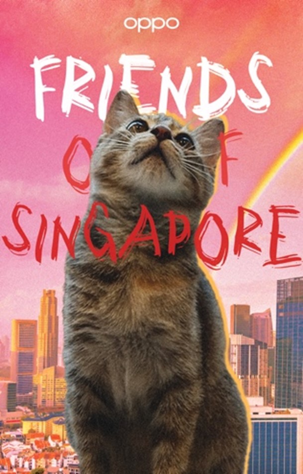 OPPO Singapore “Friends of Singapore” Campaign: Calling Singaporeans to Show More Love to Their Furry Friends - Alvinology