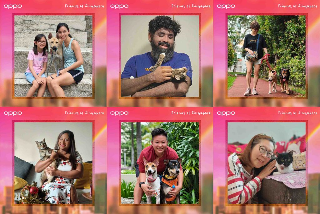 OPPO Singapore “Friends of Singapore” Campaign: Calling Singaporeans to Show More Love to Their Furry Friends OPPO Singapore “Friends of Singapore” Campaign: Calling Singaporeans to Show More Love to Their Furry Friends - Alvinology