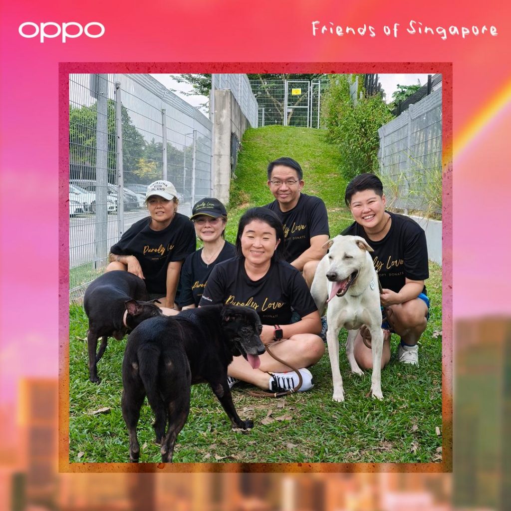 OPPO Singapore “Friends of Singapore” Campaign: Calling Singaporeans to Show More Love to Their Furry Friends OPPO Singapore “Friends of Singapore” Campaign: Calling Singaporeans to Show More Love to Their Furry Friends - Alvinology
