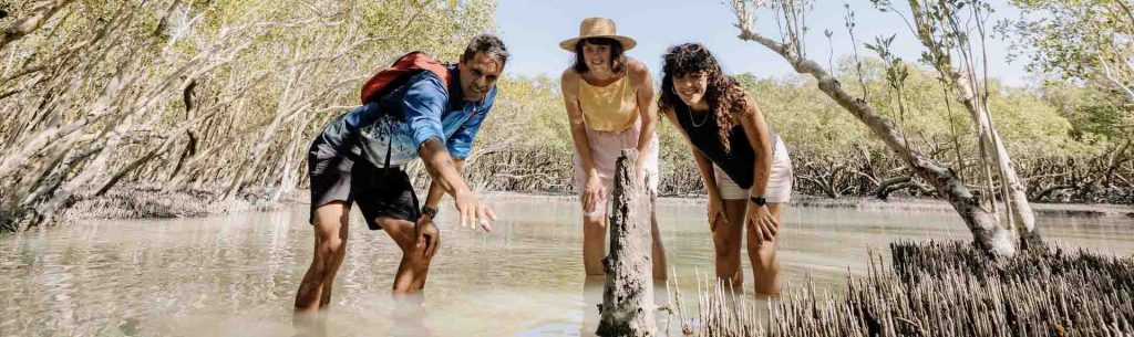Downtime Down Under: Discover the Wonders of Broome - Alvinology