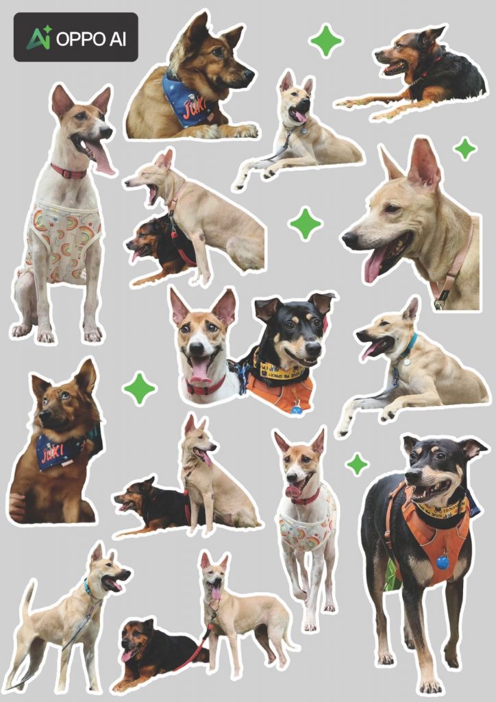 OPPO Singapore “Friends of Singapore” Campaign: Calling Singaporeans to Show More Love to Their Furry Friends OPPO Singapore “Friends of Singapore” Campaign: Calling Singaporeans to Show More Love to Their Furry Friends - Alvinology
