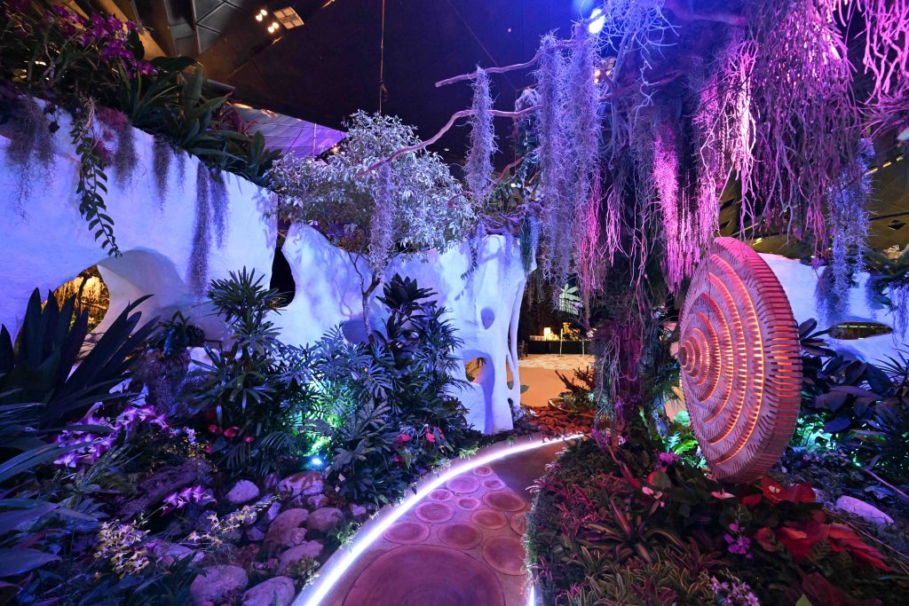 Singapore Garden Festival 2024: Horticulture Excellence in Full Bloom Singapore Garden Festival 2024: Horticulture Excellence in Full Bloom - Alvinology