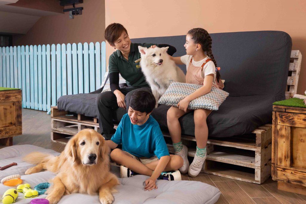 Mandai Wildlife Reserve Hosts First-Ever Wild Day Out: A Fun-Filled Weekend for Families and Furry Friends - Alvinology