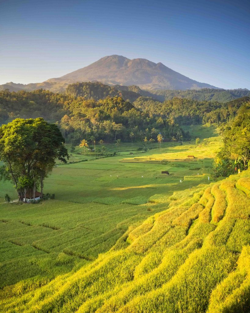 Scoot Announces New Southeast Asian Destinations and Expands Fleet with Third and Fourth Embraer E190-E2 Aircraft - Alvinology