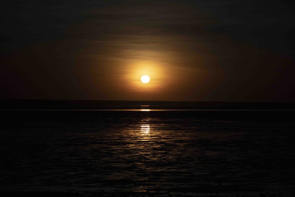 Downtime Down Under: Discover the Wonders of Broome - Alvinology
