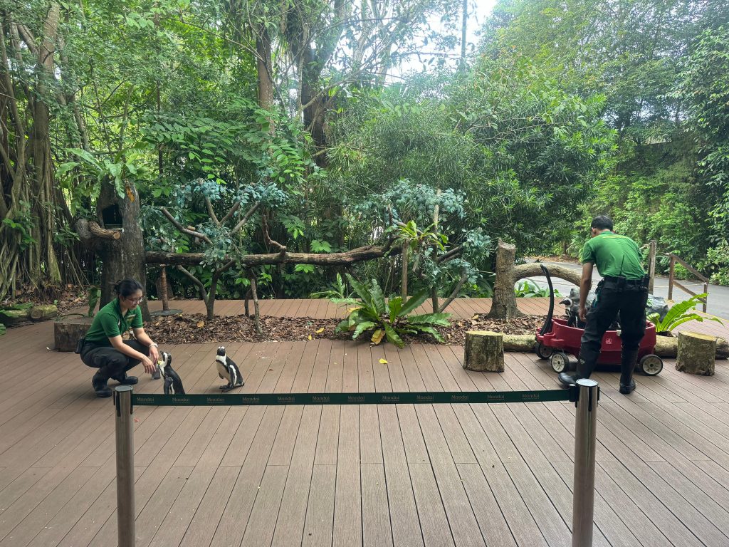 Mandai Wildlife Group Introduces Two New Experiences at Singapore Zoo - Enhanced Breakfast in the Wild with Animal Interactions and Elephant Encounters Backstage Pass - Alvinology