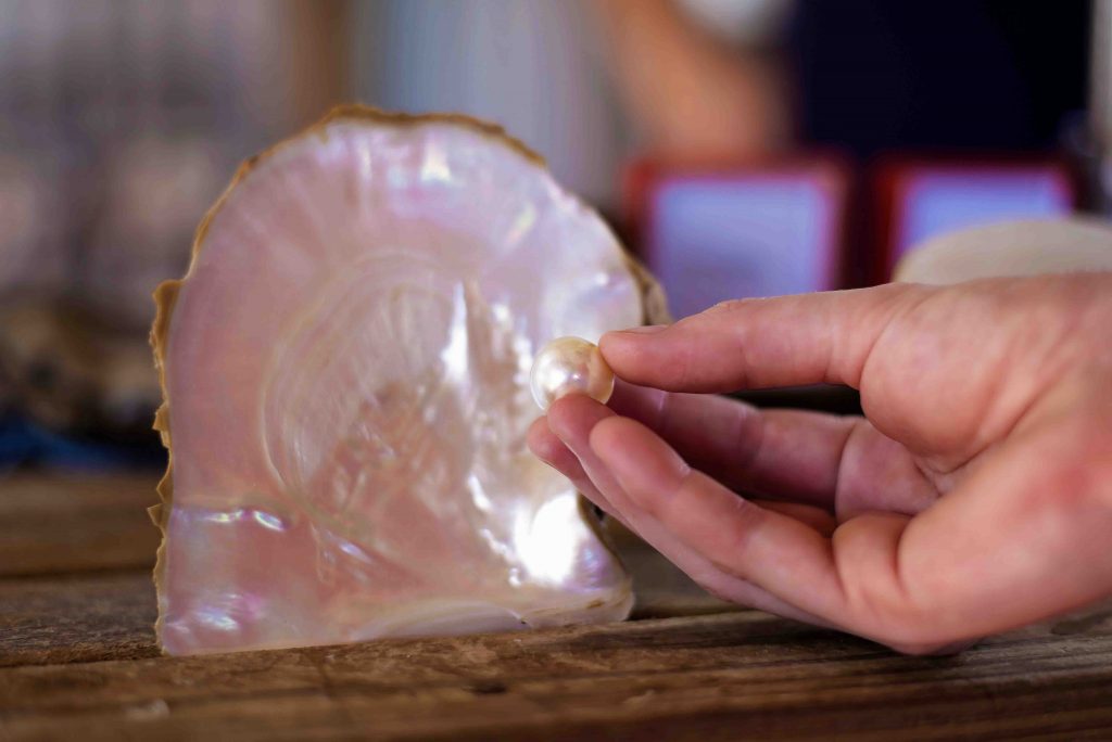 Downtime Down Under: Discover the Wonders of Broome - Alvinology