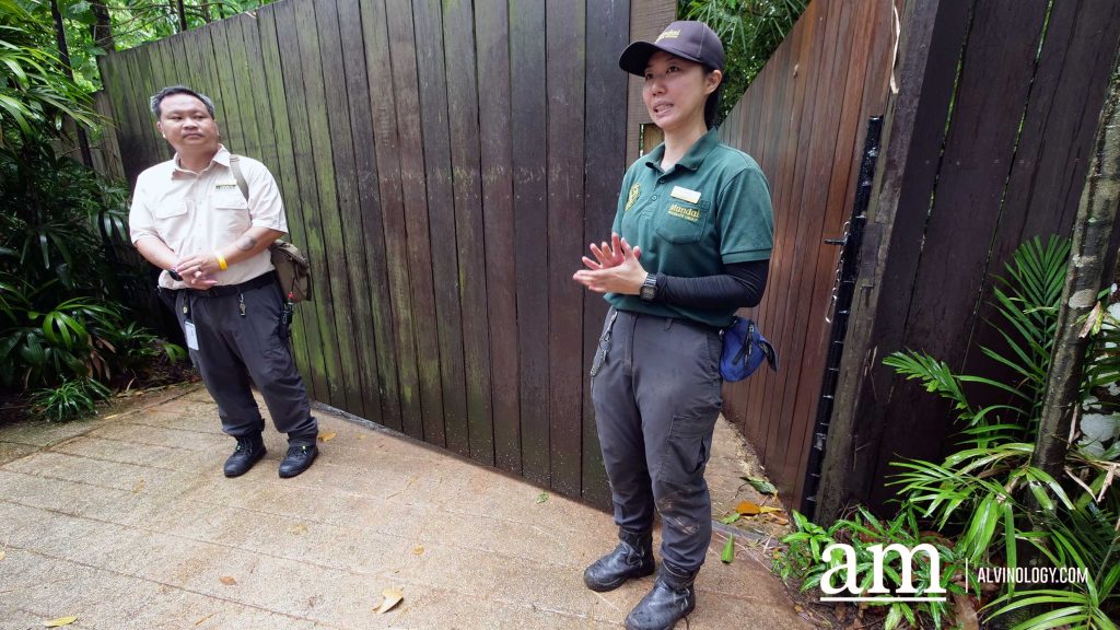 Mandai Wildlife Group Introduces Two New Experiences at Singapore Zoo - Enhanced Breakfast in the Wild with Animal Interactions and Elephant Encounters Backstage Pass - Alvinology