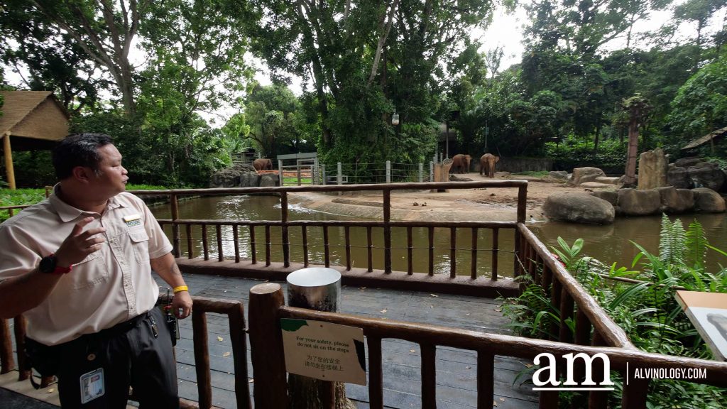 Mandai Wildlife Group Introduces Two New Experiences at Singapore Zoo - Enhanced Breakfast in the Wild with Animal Interactions and Elephant Encounters Backstage Pass - Alvinology