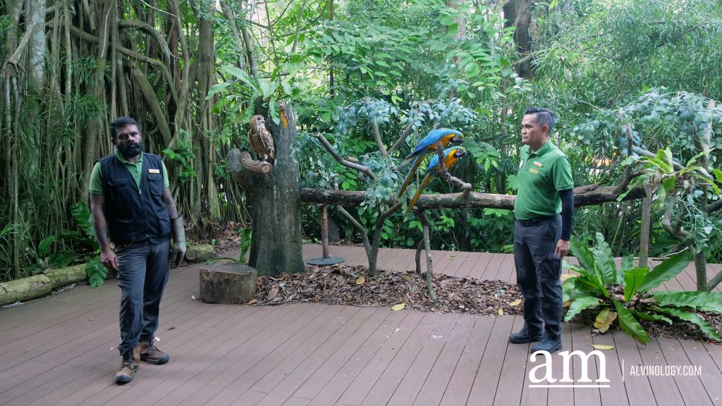 Mandai Wildlife Group Introduces Two New Experiences at Singapore Zoo - Enhanced Breakfast in the Wild with Animal Interactions and Elephant Encounters Backstage Pass - Alvinology
