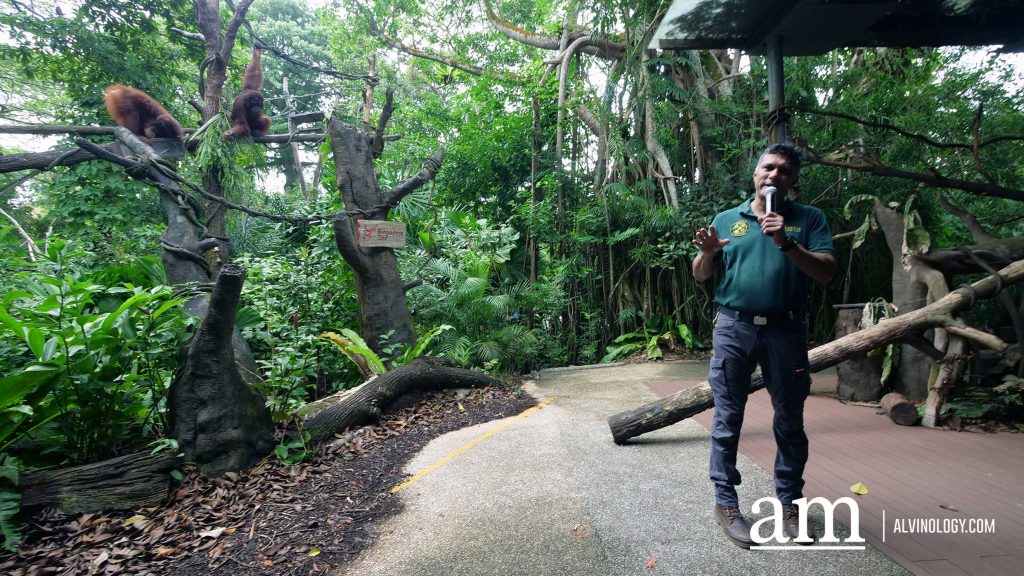 Mandai Wildlife Group Introduces Two New Experiences at Singapore Zoo - Enhanced Breakfast in the Wild with Animal Interactions and Elephant Encounters Backstage Pass - Alvinology