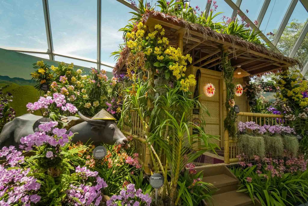 Celebrating Filipino Culture at Gardens by the Bay: A Bahay Kubo Orchid Fiesta - Alvinology