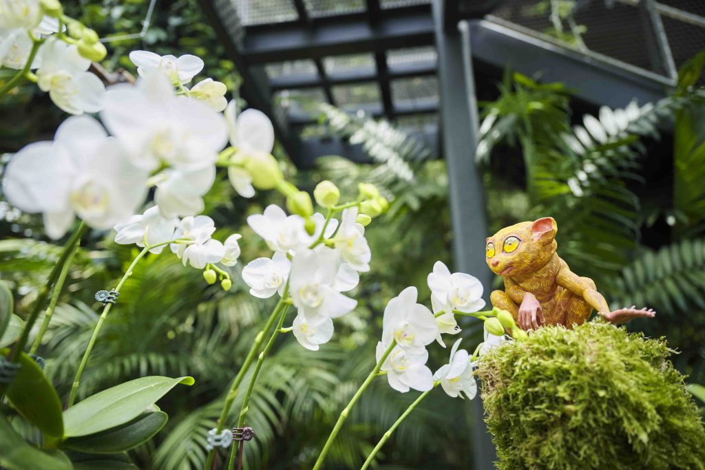 Celebrating Filipino Culture at Gardens by the Bay: A Bahay Kubo Orchid Fiesta - Alvinology