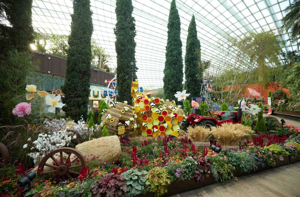 Experience Australia’s Unique Flora at Gardens by the Bay's New 'Carnival of Flowers' Experience Australia’s Unique Flora at Gardens by the Bay's New 'Carnival of Flowers' - Alvinology