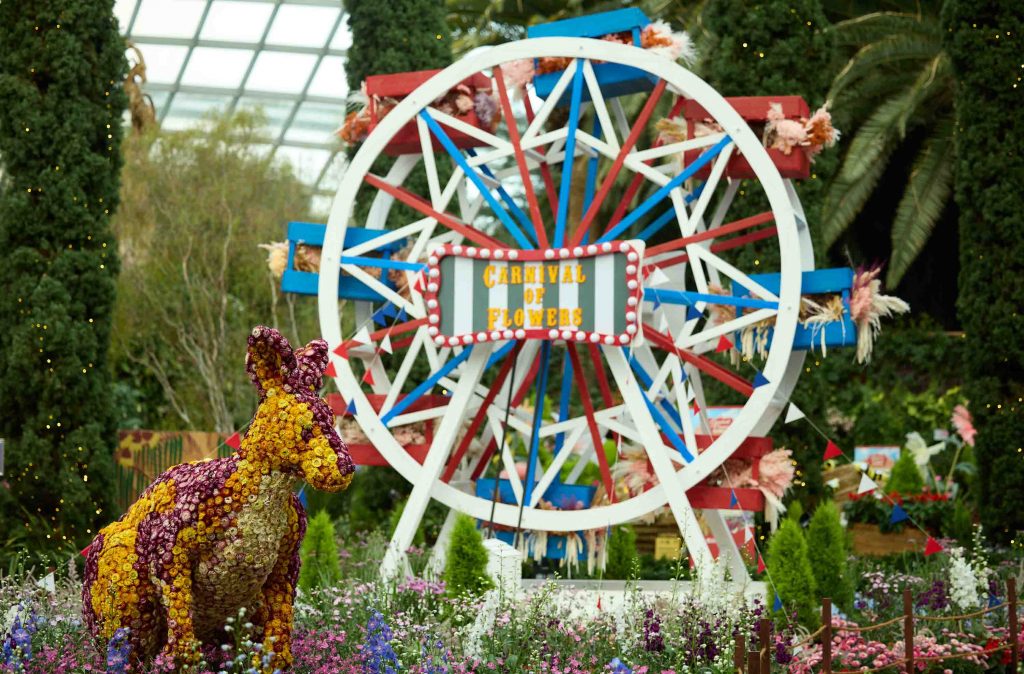 Experience Australia’s Unique Flora at Gardens by the Bay's New 'Carnival of Flowers' Experience Australia’s Unique Flora at Gardens by the Bay's New 'Carnival of Flowers' - Alvinology
