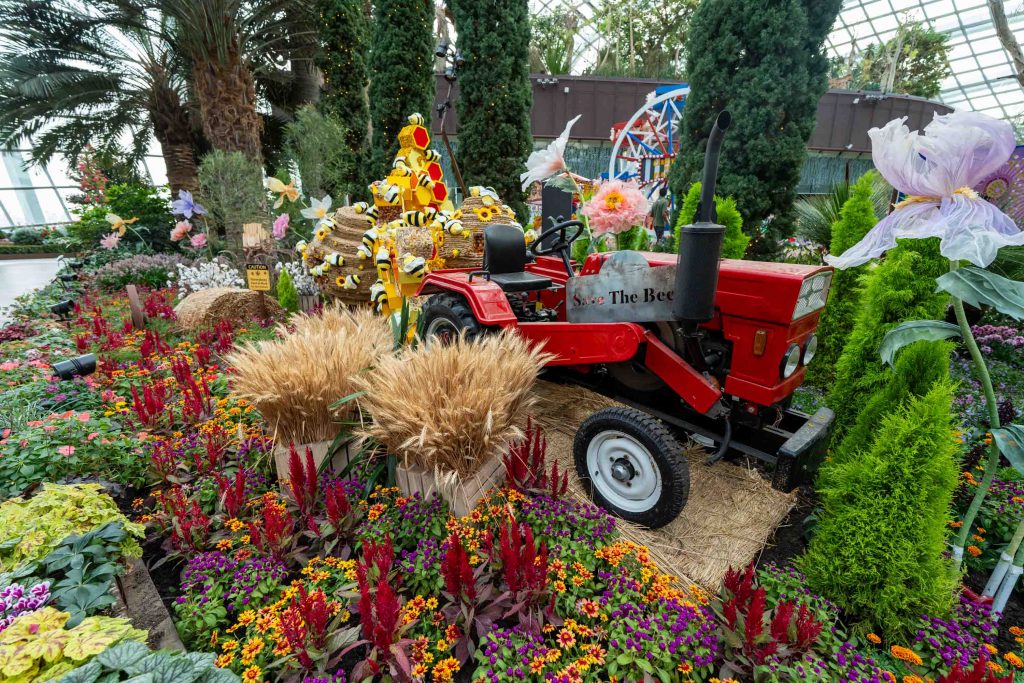 Experience Australia’s Unique Flora at Gardens by the Bay's New 'Carnival of Flowers' Experience Australia’s Unique Flora at Gardens by the Bay's New 'Carnival of Flowers' - Alvinology