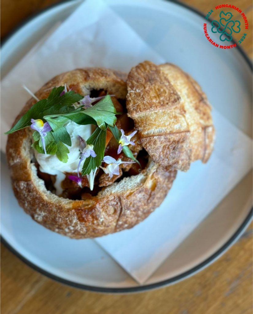 Hungarian Month: Explore the Rich Culture, Food, and Arts of Hungary Right Here in Singapore - Alvinology