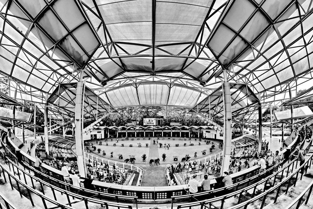Singapore Turf Club's "Capturing Our Beauty" Photo Competition: A Tribute to Heritage and Legacy Singapore Turf Club's "Capturing Our Beauty" Photo Competition: A Tribute to Heritage and Legacy - Alvinology