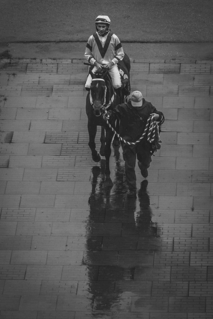 Singapore Turf Club's "Capturing Our Beauty" Photo Competition: A Tribute to Heritage and Legacy Singapore Turf Club's "Capturing Our Beauty" Photo Competition: A Tribute to Heritage and Legacy - Alvinology
