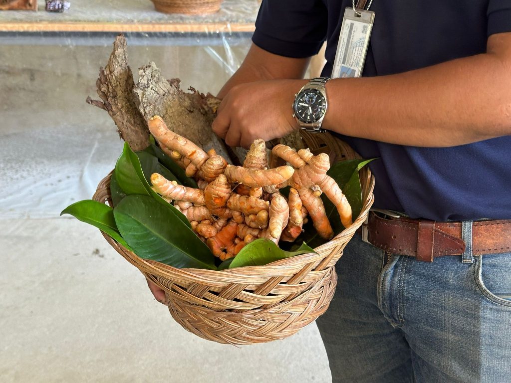 [Travel Itinerary] 12 Unmissable Places to Explore from Hat Yai to Trang and Phatthalung, South Thailand - Alvinology