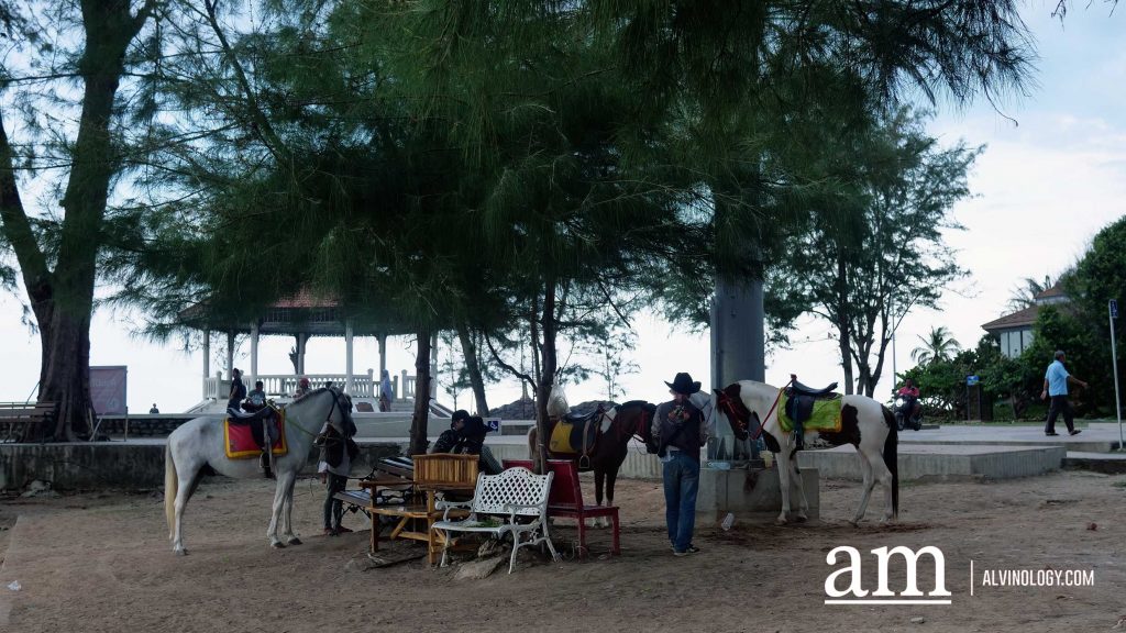 [Travel Itinerary] 8 Recommended Places to Visit in Hat Yai, South Thailand, for Singaporean Tourists - Alvinology