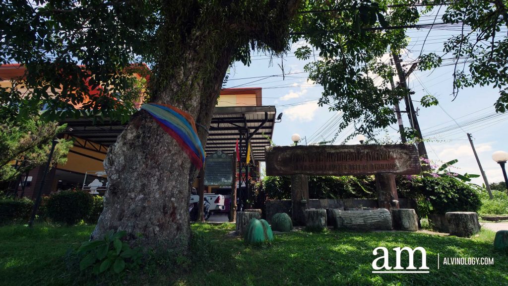 [Travel Itinerary] 12 Unmissable Places to Explore from Hat Yai to Trang and Phatthalung, South Thailand - Alvinology