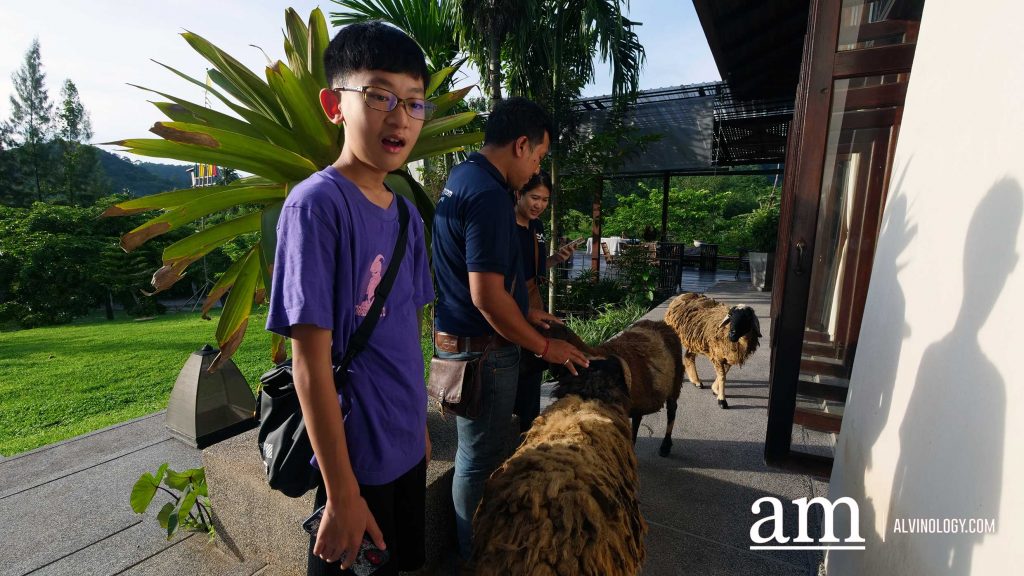 [Travel Itinerary] 12 Unmissable Places to Explore from Hat Yai to Trang and Phatthalung, South Thailand - Alvinology