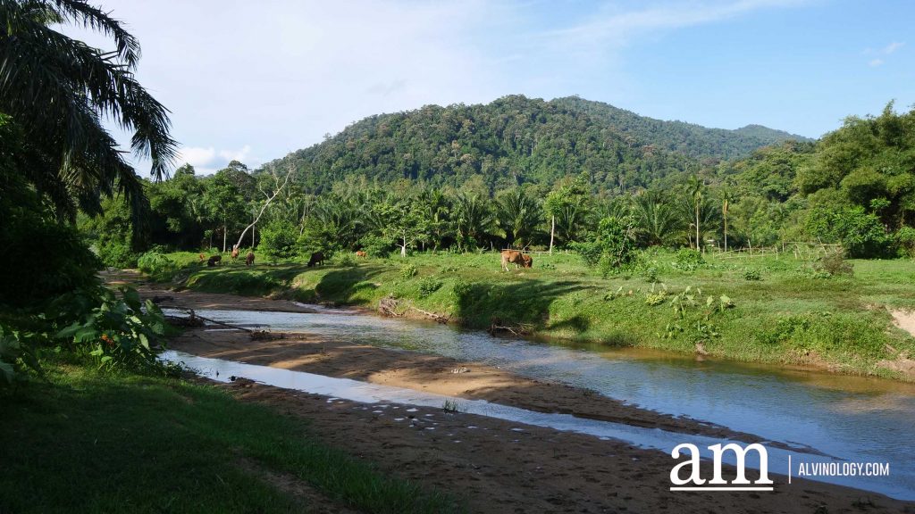 [Travel Itinerary] 12 Unmissable Places to Explore from Hat Yai to Trang and Phatthalung, South Thailand - Alvinology