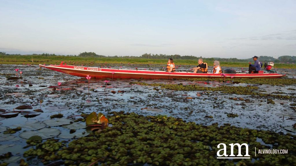 [Travel Itinerary] 12 Unmissable Places to Explore from Hat Yai to Trang and Phatthalung, South Thailand - Alvinology