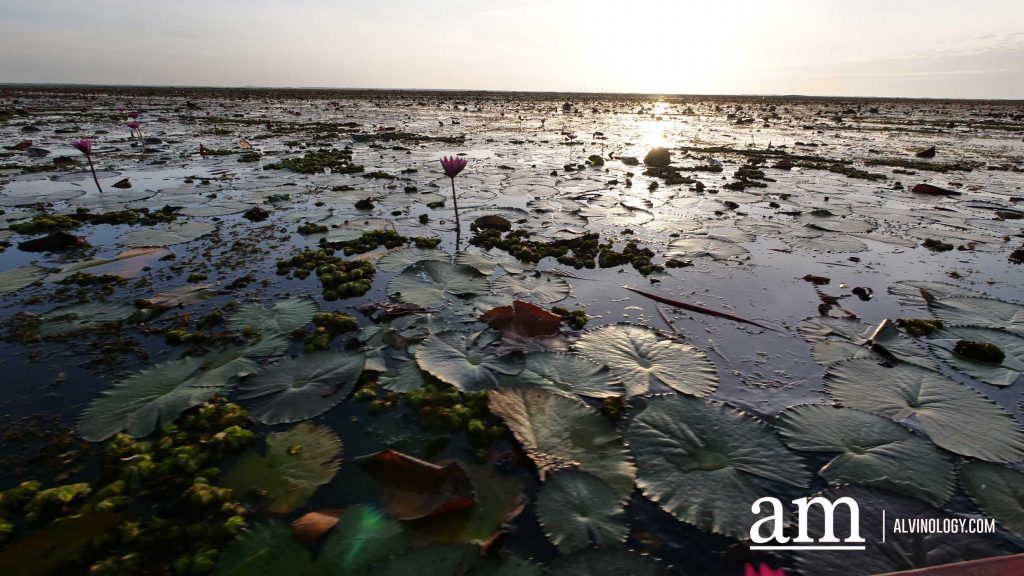 [Travel Itinerary] 12 Unmissable Places to Explore from Hat Yai to Trang and Phatthalung, South Thailand - Alvinology