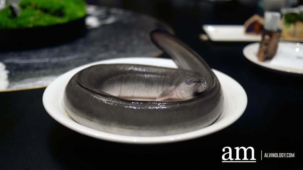 [Review] PUTIEN Welcomes the Return of Eel Festival 2024 and Launches 5 New Fujian-inspired Dishes - Alvinology