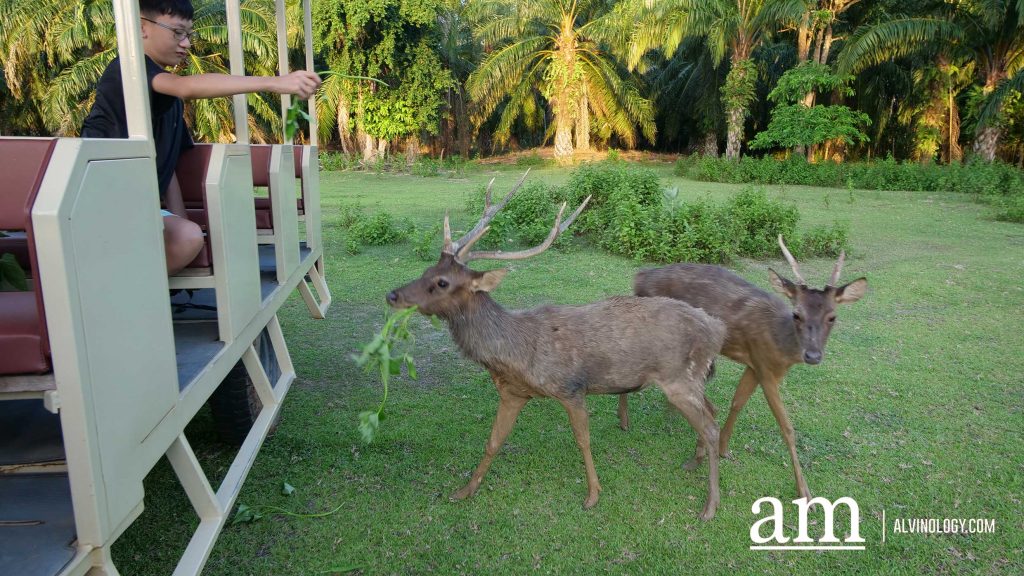 [Travel Itinerary] 12 Unmissable Places to Explore from Hat Yai to Trang and Phatthalung, South Thailand - Alvinology