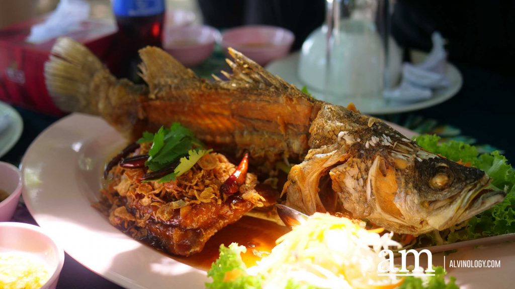[Travel Itinerary] 12 Unmissable Places to Explore from Hat Yai to Trang and Phatthalung, South Thailand - Alvinology