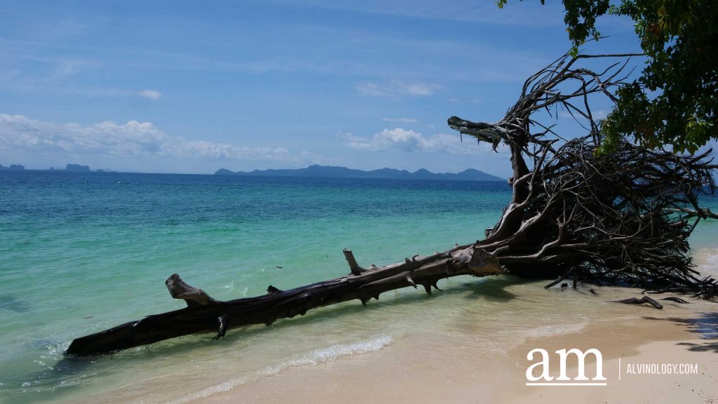 [Travel Itinerary] 12 Unmissable Places to Explore from Hat Yai to Trang and Phatthalung, South Thailand - Alvinology