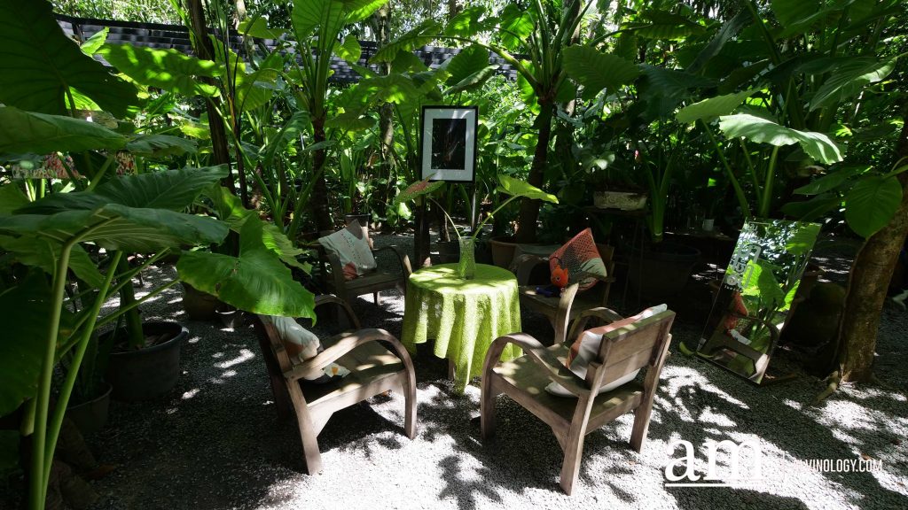[Travel Itinerary] 12 Unmissable Places to Explore from Hat Yai to Trang and Phatthalung, South Thailand - Alvinology