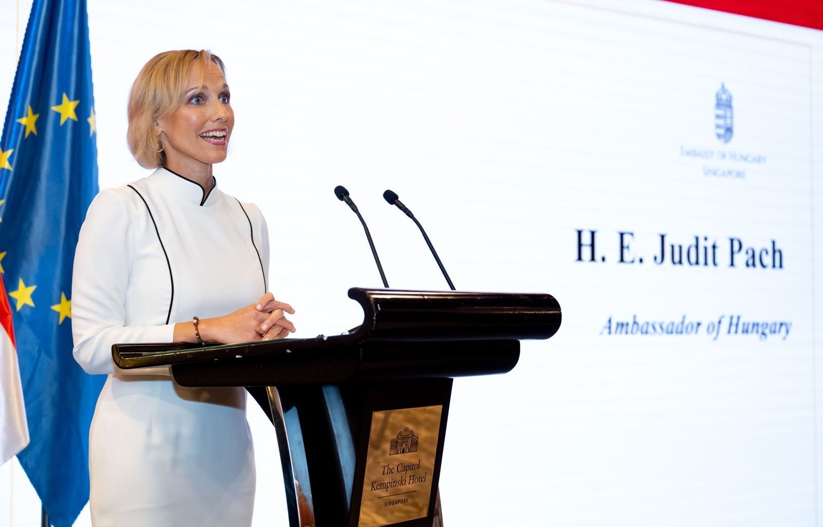 Bridging Cultures: A Celebration of Hungary in Singapore with Ambassador Judit Pach - Alvinology