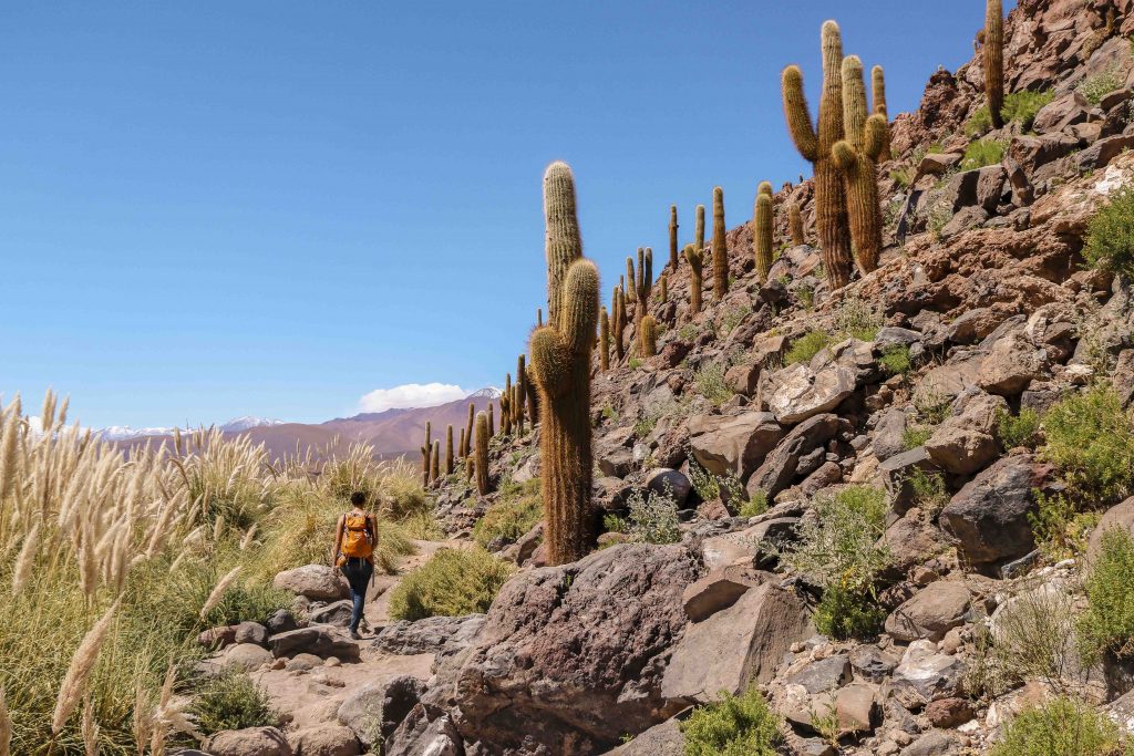 9 Bold Travel Predictions for 2025 - Alvinology