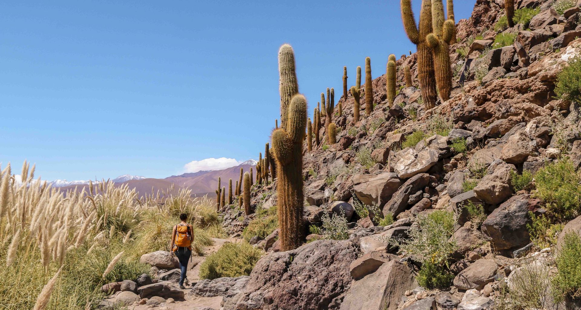 9 Bold Travel Predictions for 2025 - Alvinology