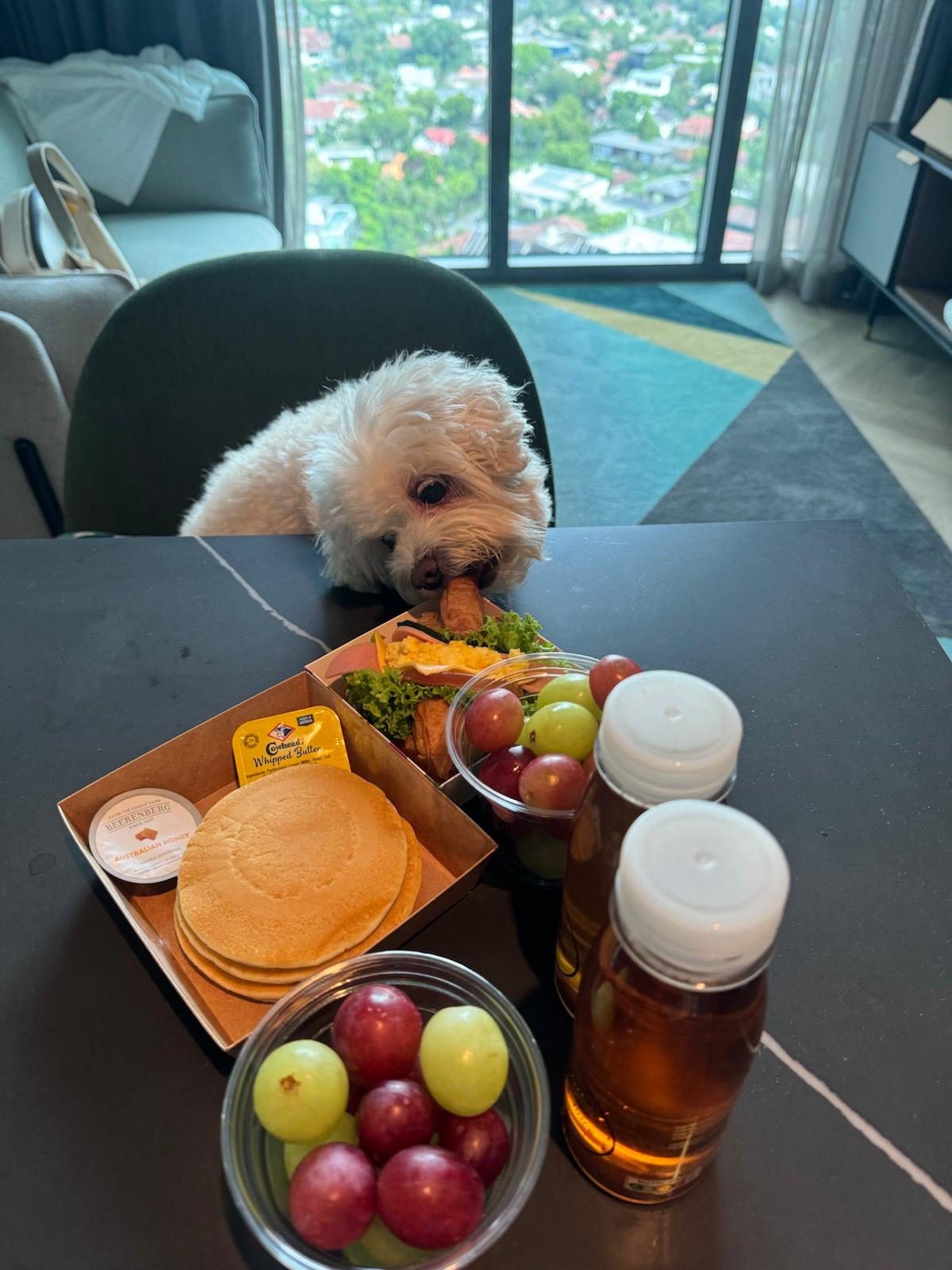 [Review] Pet-Friendly Staycation at Quincy House Singapore in Holland Village - Alvinology