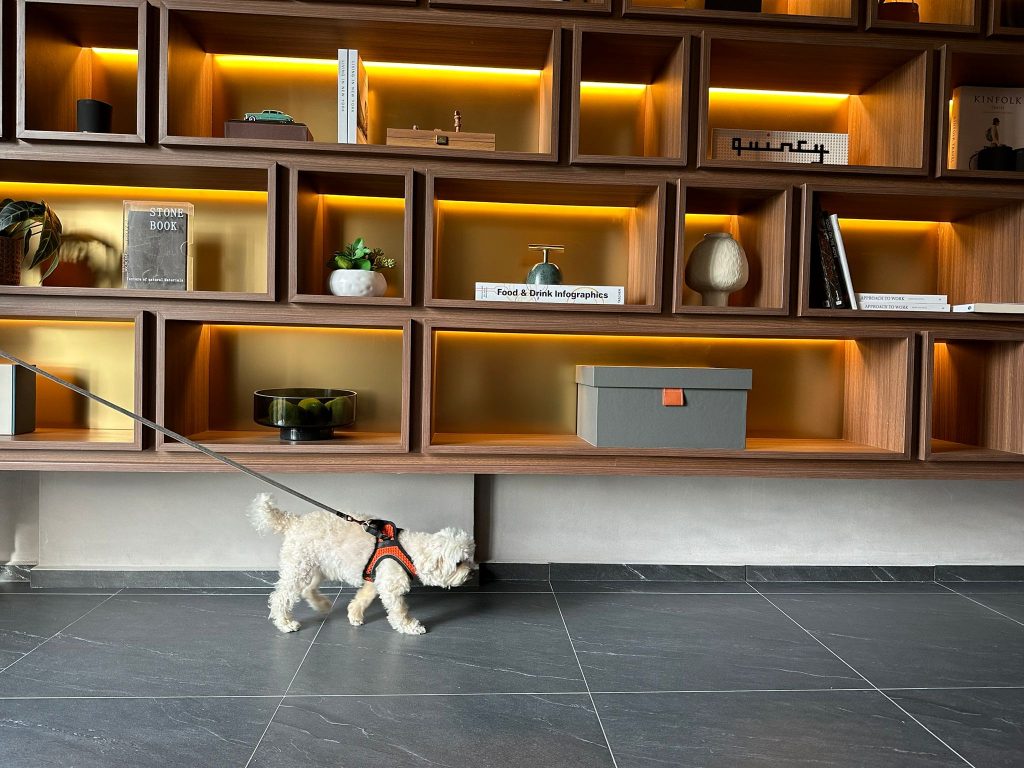 [Review] Pet-Friendly Staycation at Quincy House Singapore in Holland Village - Alvinology