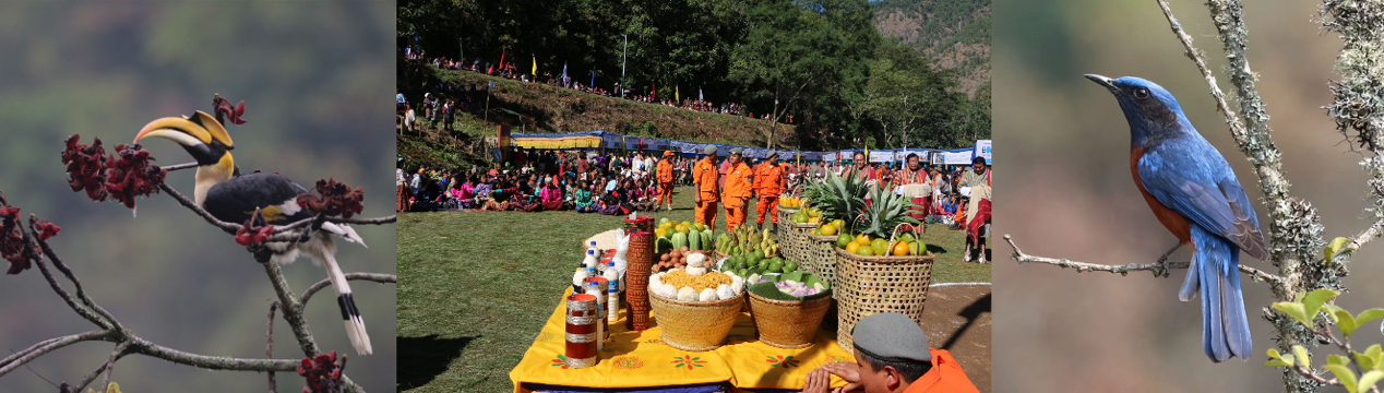 Explore Bhutan's Birdwatching Paradise: Bhutan Bird Festival 2024 in Zhemgang - Alvinology