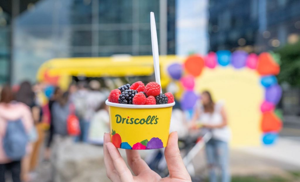 Taste the Holiday Magic: Driscoll’s Berry Berry Good Christmas Pop-Up at Plaza Singapura Taste the Holiday Magic: Driscoll’s Berry Berry Good Christmas Pop-Up at Plaza Singapura - Alvinology