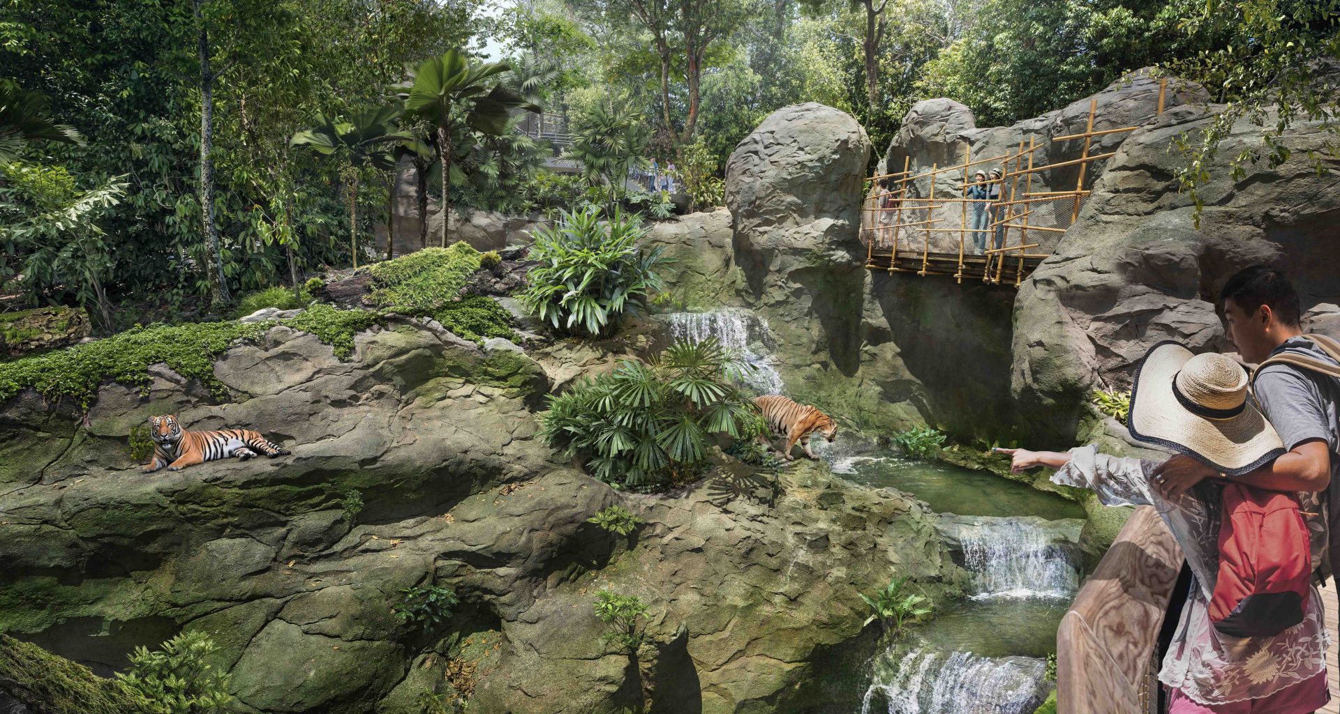Rainforest Wild Asia: Singapore’s Fifth Wildlife Park Set to Open in March 2025 - Alvinology